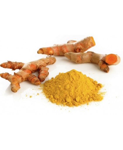 Erba Vita Curcuma Polvere 100 g