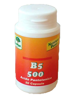 Natural Point B5 500 integratore vitamina B utilizzazione energetica elimenti sistema immunitario 50 capsule