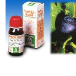 Specchiasol Mirtillo 31 Tintura Madre 50 ml