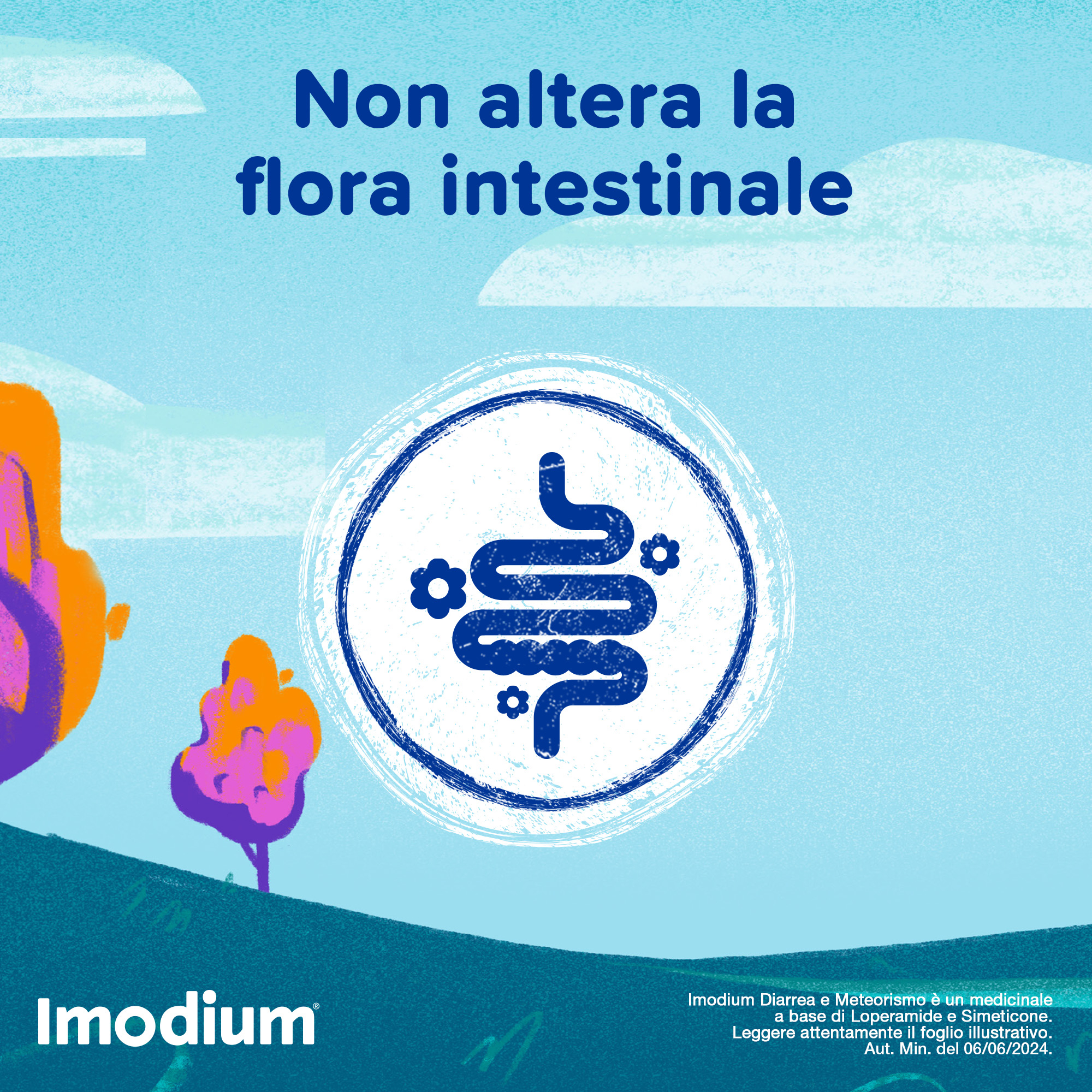 Imodium Diarrea e Meteorismo 12 Compresse - SCADENZA APRILE 2026