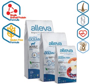 ALLEVA EQUILIBRIUM DOG SENSITIVE OCEAN FISH ADULT MINI/MEDIUM KG 2 - P6007