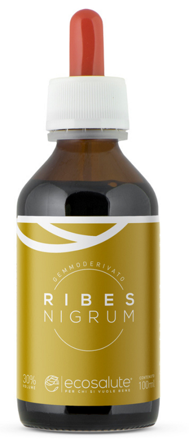 RIBES NIGRUM GEMMODERIV 100ML