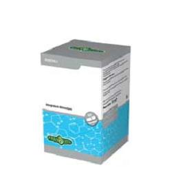 Erba Vita Magnesium B6 Integratore Magnesio e Vitamina B 60 Capsule