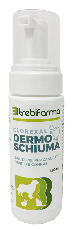 CLOREXAL DERMOSCHIUMA 150ML