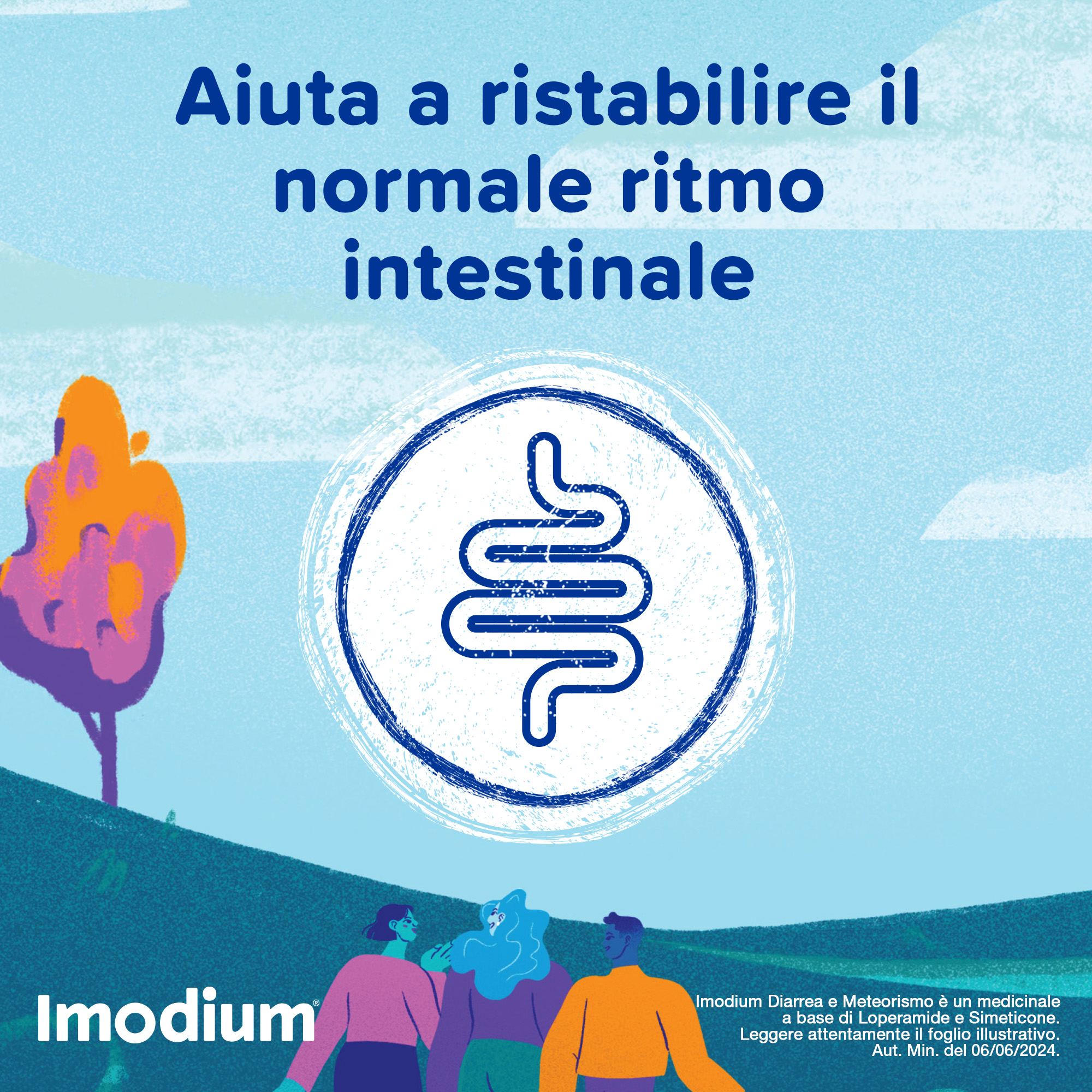 Imodium Diarrea e Meteorismo 12 Compresse - SCADENZA APRILE 2026