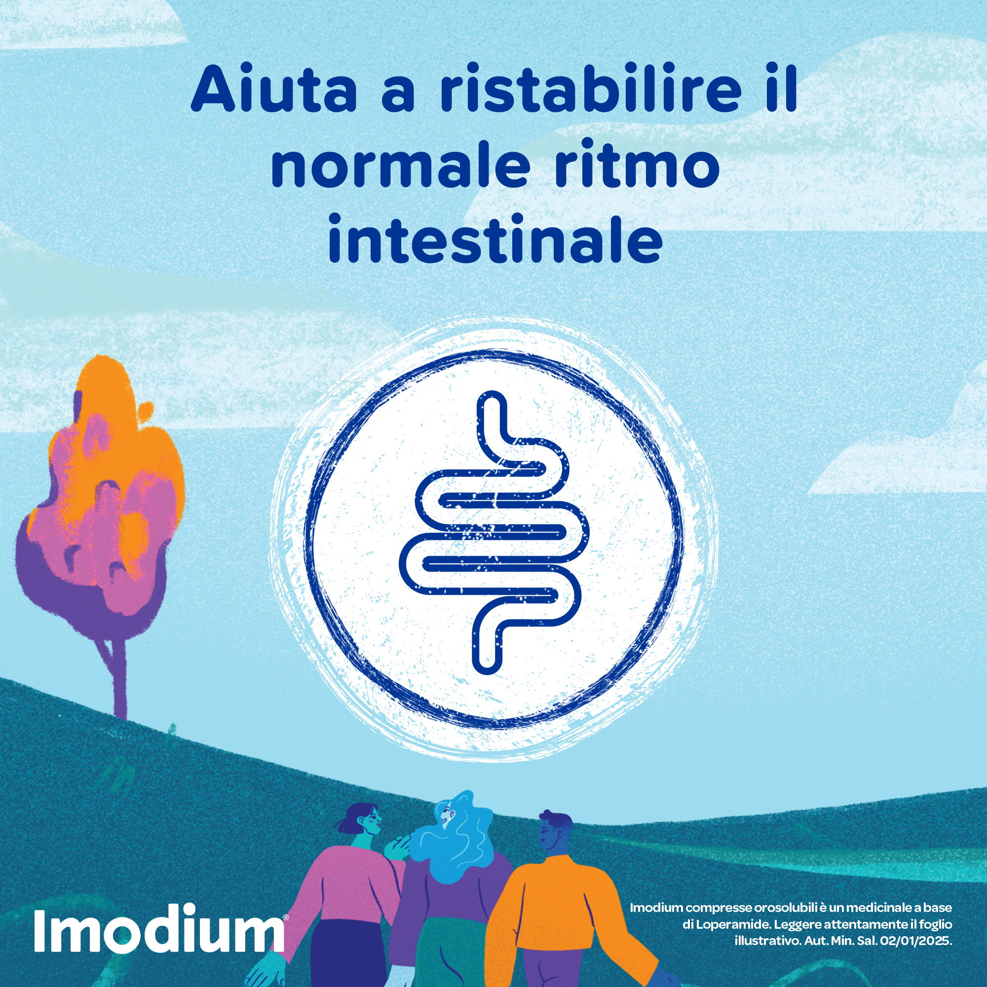 Imodium Diarrea Acuta 12 Compresse Orosolubili