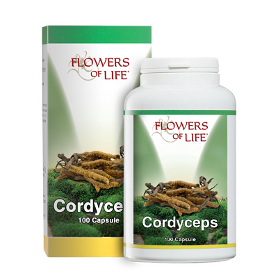 CORDYCEPS 100 CAPSULE FLOWERS OF LIFE