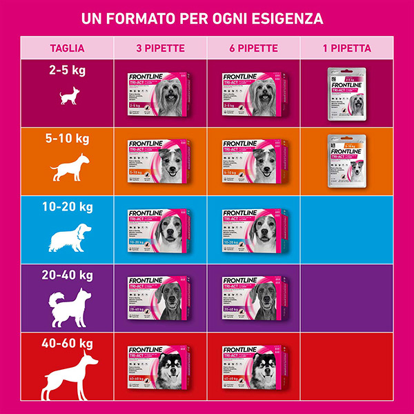 Frontline Tri Act x1 Pipetta, Antiparassitario Per Cani e Cuccioli (Taglia XS 2-5Kg) Contro Pulci, Zecche, Zanzare, Pappataci e Leishmaniosi