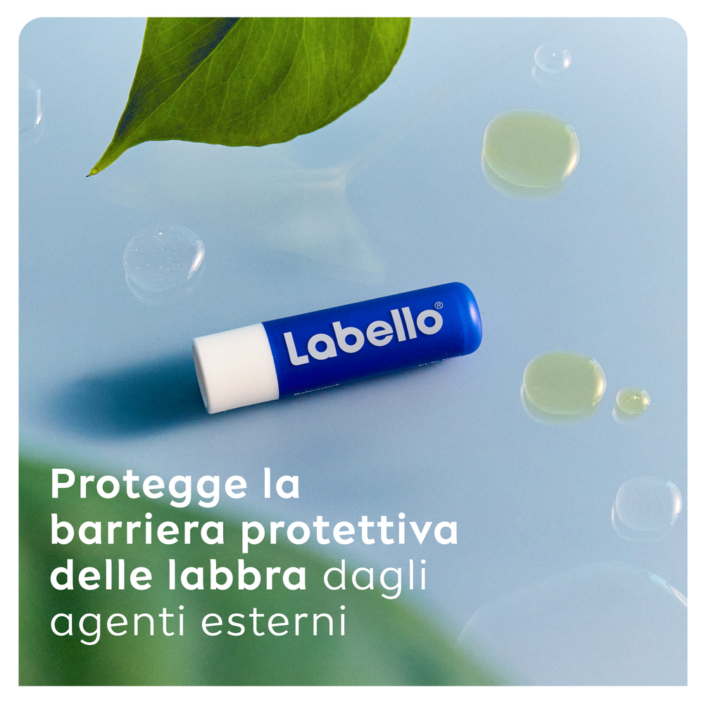 Labello Classic Care Balsamo Labbra 4.8 g, Burrocacao labbra classico fondente sulle labbra