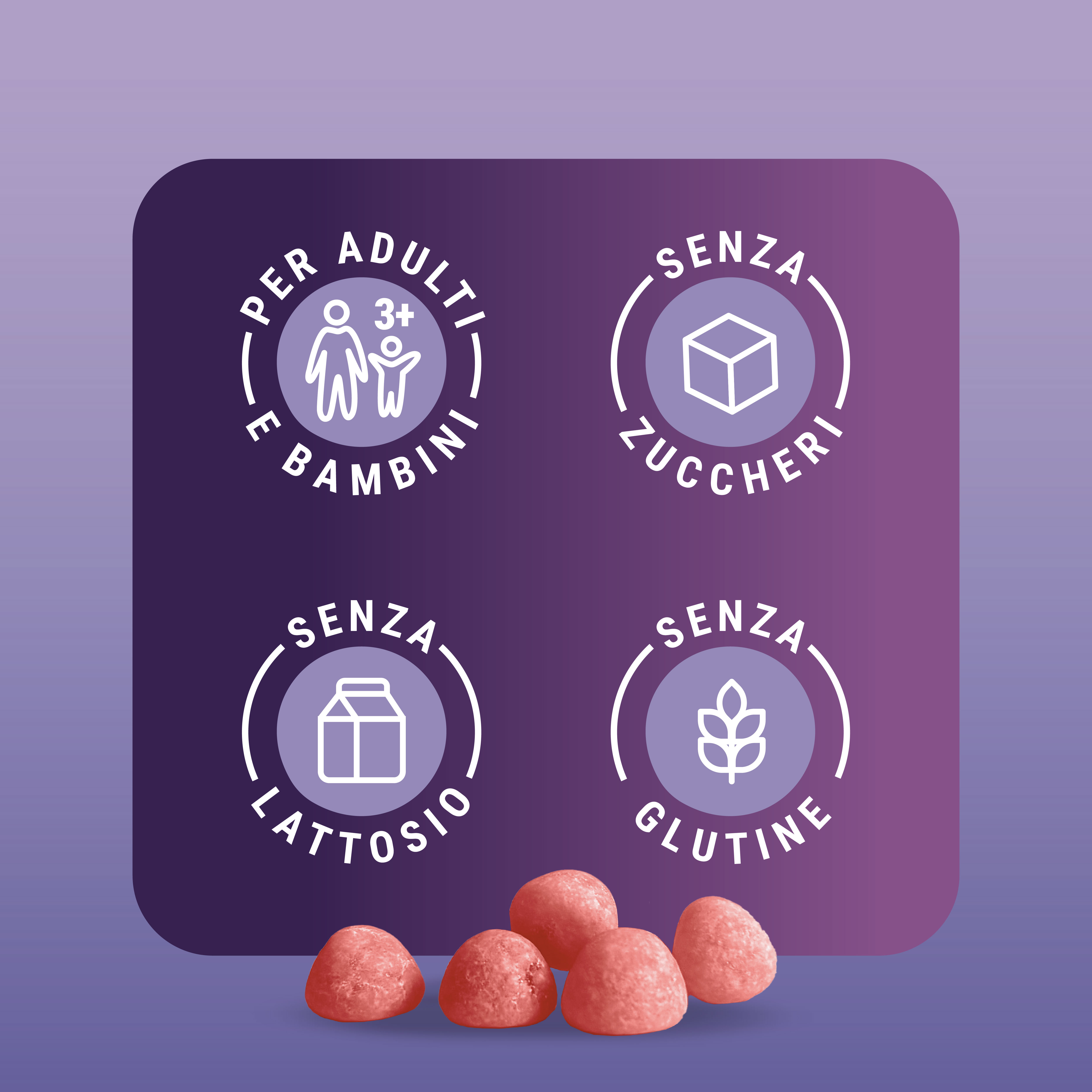 Isypan Probiotik Fermenti Lattici 60 supergelée