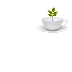 Tisalax Miscela Erbe Per Tisane 100 g