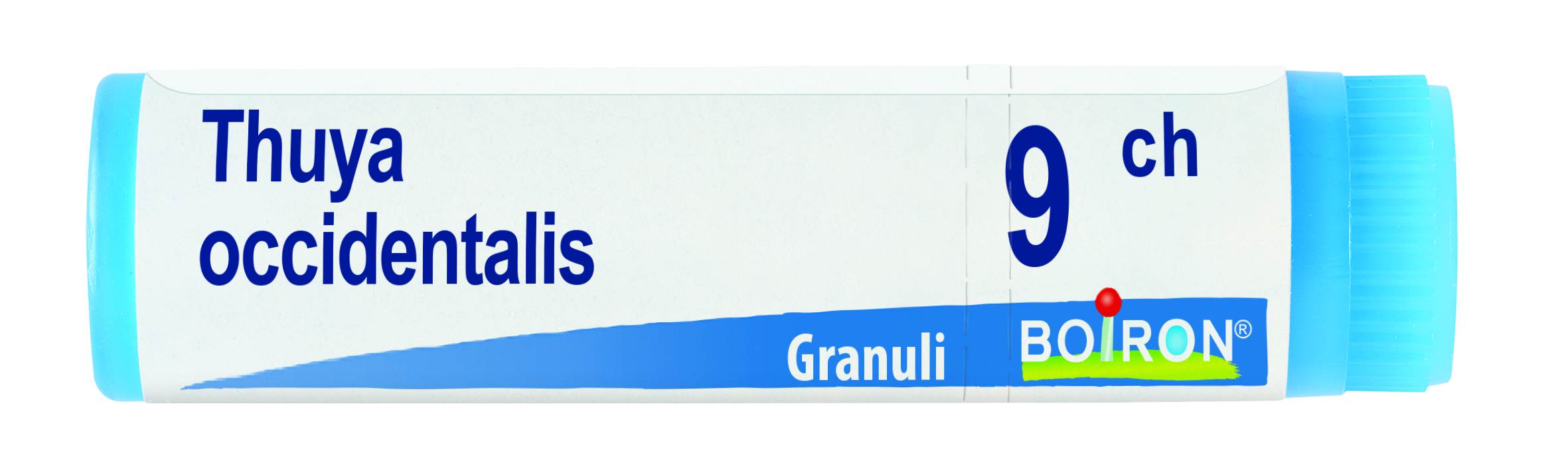 Boiron Thuya Occident 9CH Globuli Tubo