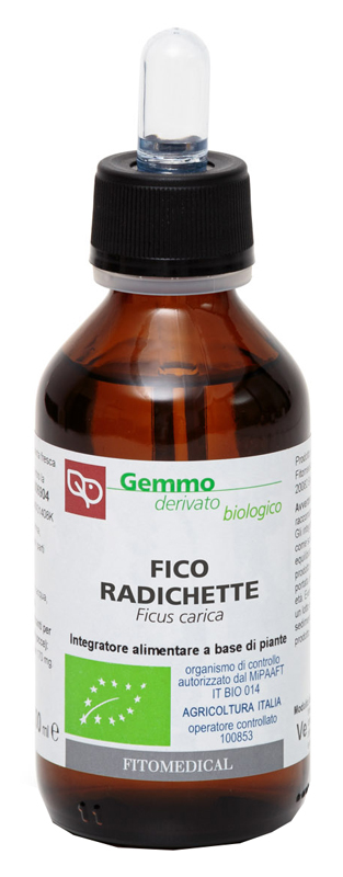 FICO RADICHETTE MG 100ML BIO