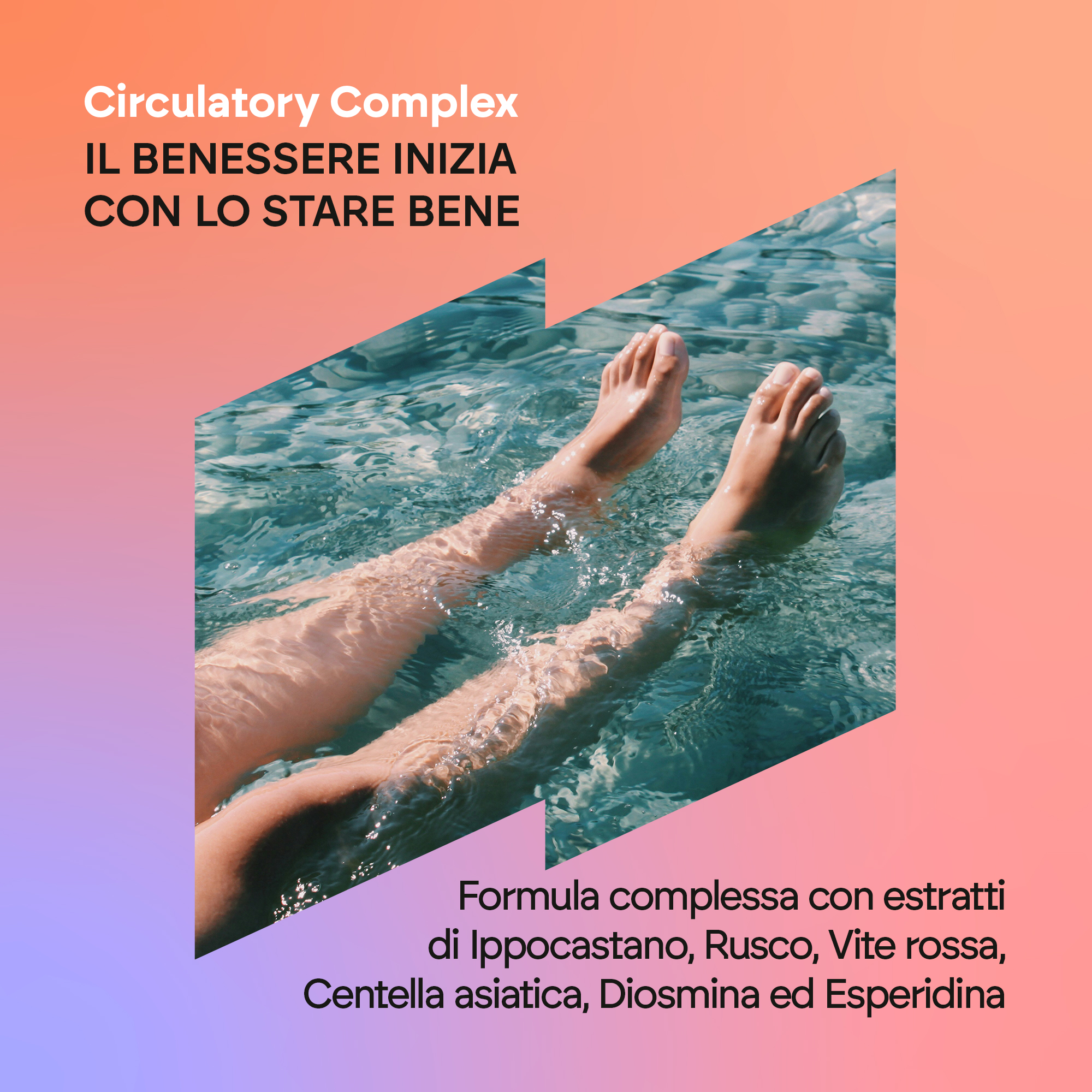 Nutralie Circulatory Complex 60 Capsule - Integratore Per Il Microcircolo