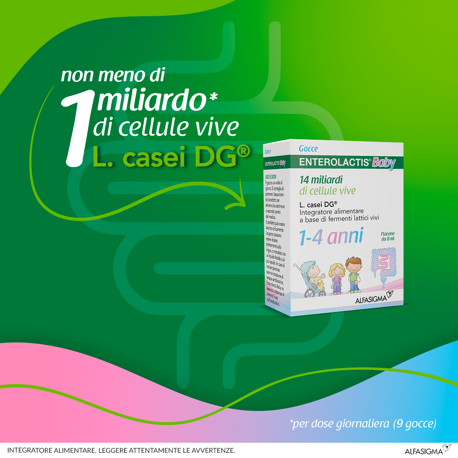 Enterolactis Baby Gocce, Integratore Alimentare con Fermenti lattici, probiotici L,Casei DG, 14 Miliardi Cellule Vive, Specifico per Bambini 1-4 anni, Flacone da 8ml