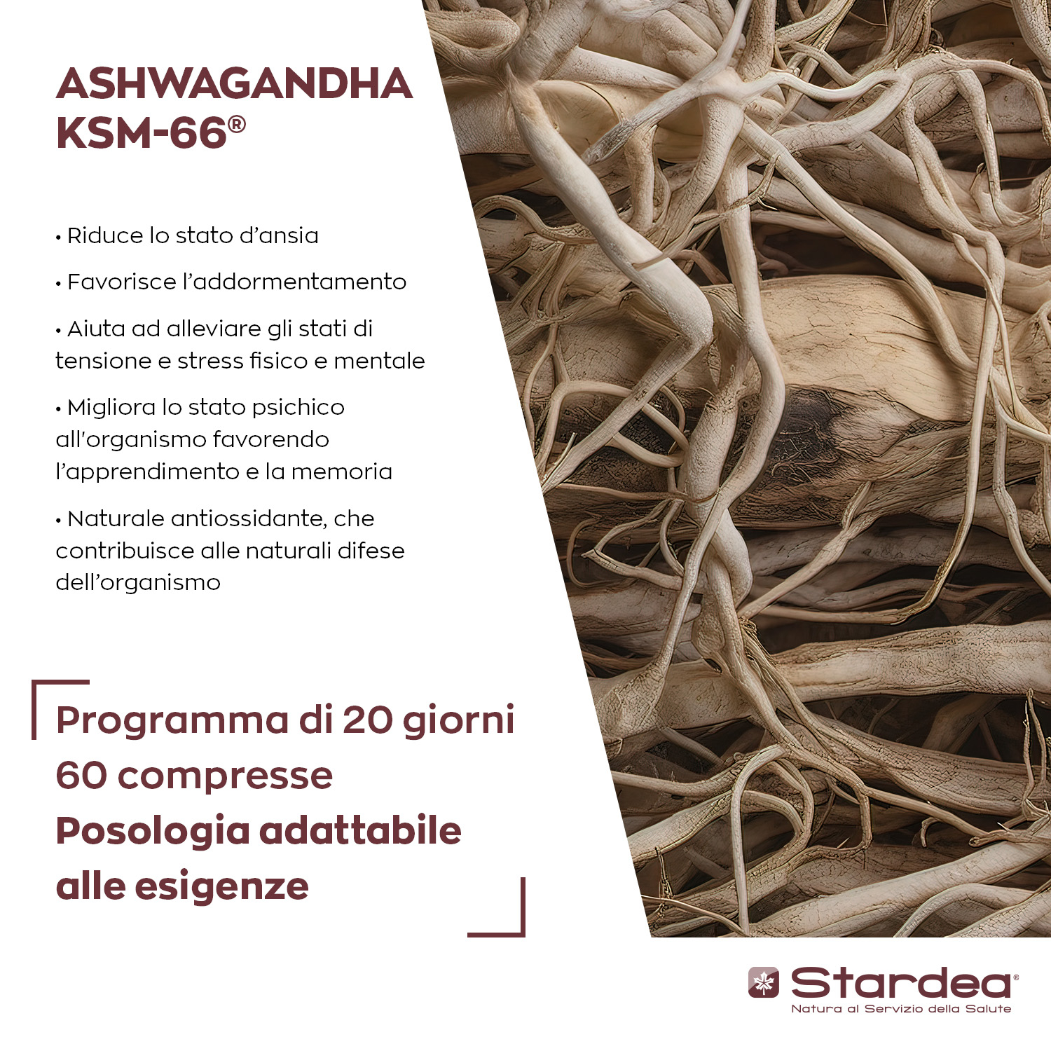 STARDEA ASHWAGANDHA - Compresse INTEGRATORE ALIMENTARE a base di Ashwagandha KSM-66® per il Benessere Fisico e Mentale