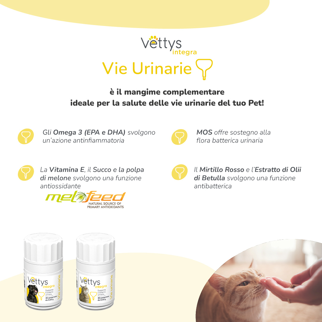 VETTYS INTEGRA VIE URINARIE GATTO