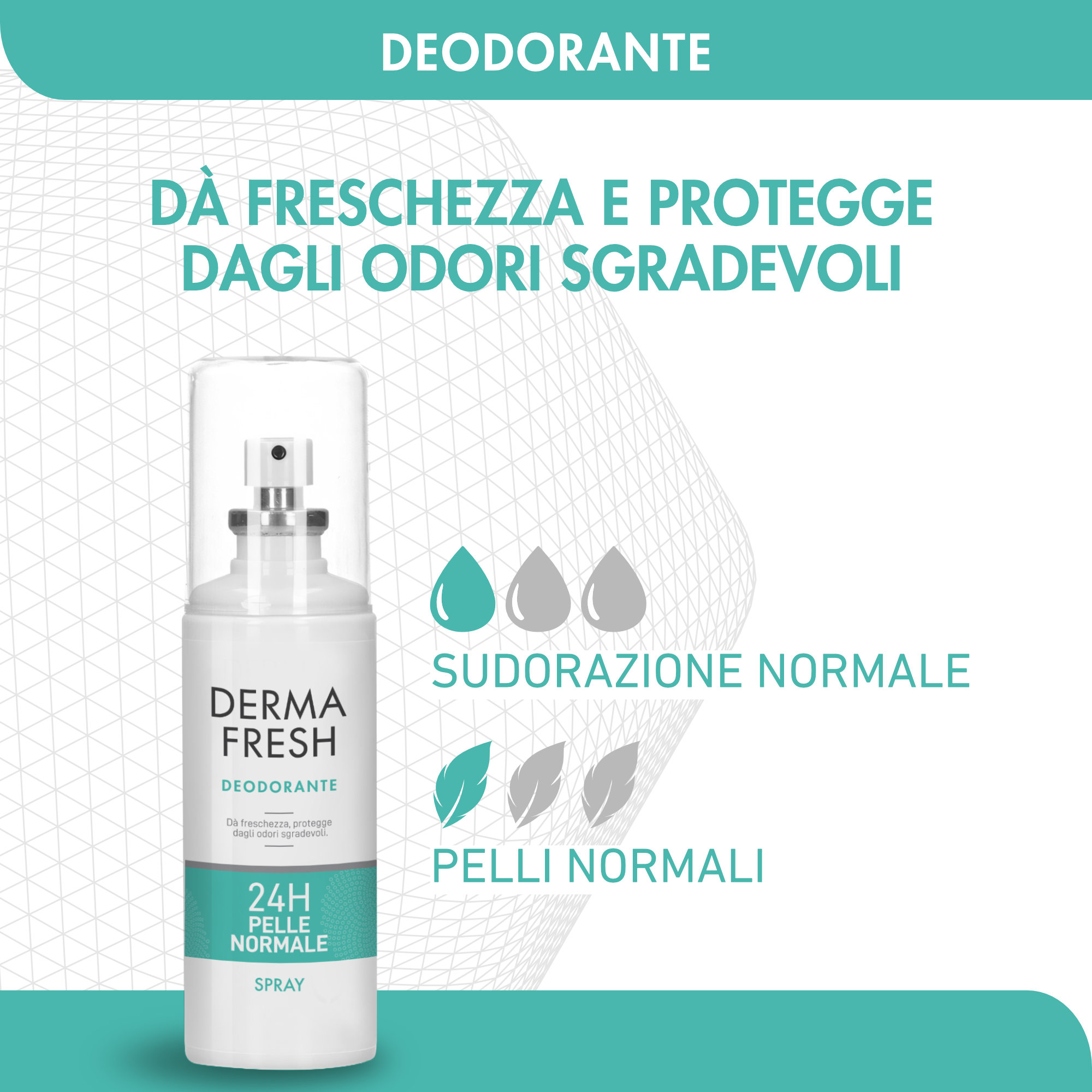 DERMAFRESH 24H P/NORM SPR100ML