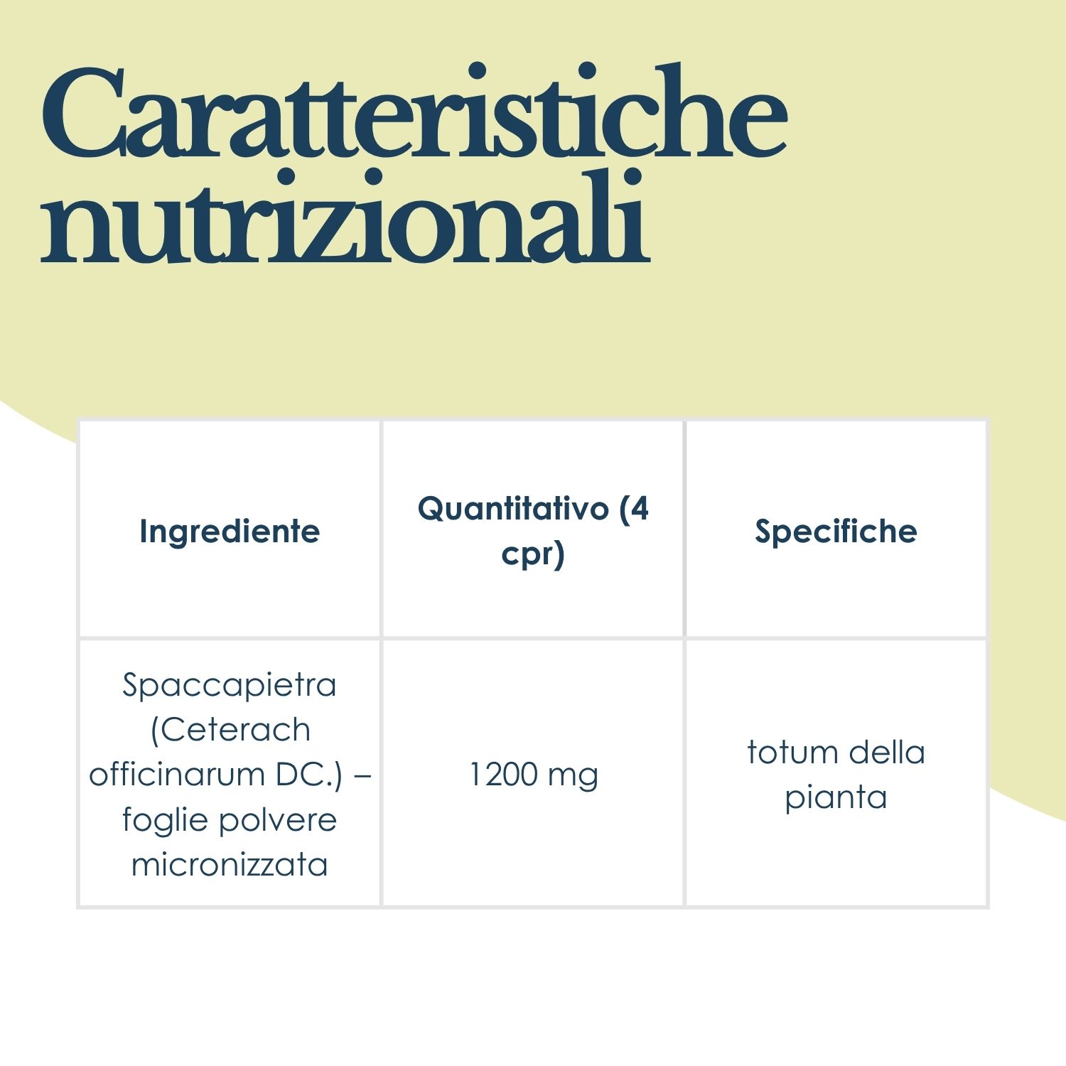 Erbex Spaccapietra Integratore Vie Urinarie 160 Compresse