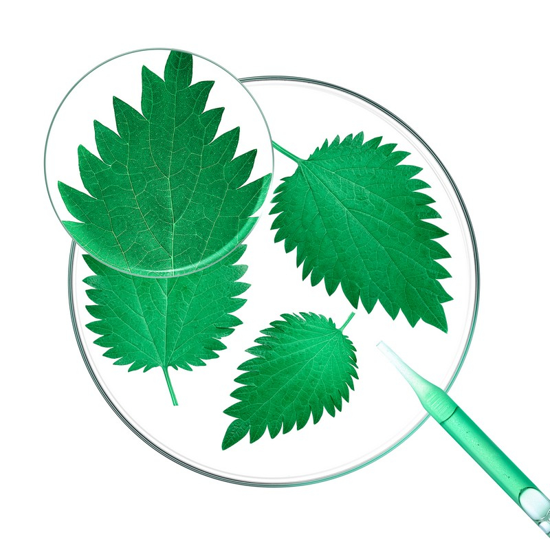 Klorane - Shampoo Seboriduttore all'Ortica purificante ed equilibrante, capelli grassi - 400ml