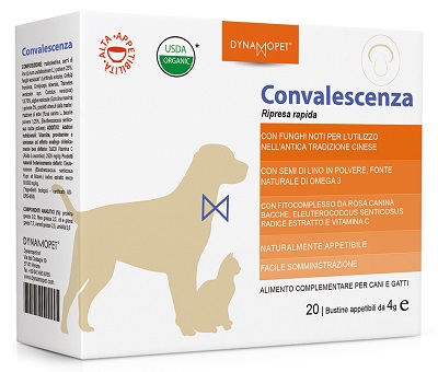 CONVALESCENZA 20BUST 4G
