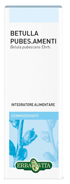 GEMMODERIVATI BETULLA PUBESCENS 50 ML