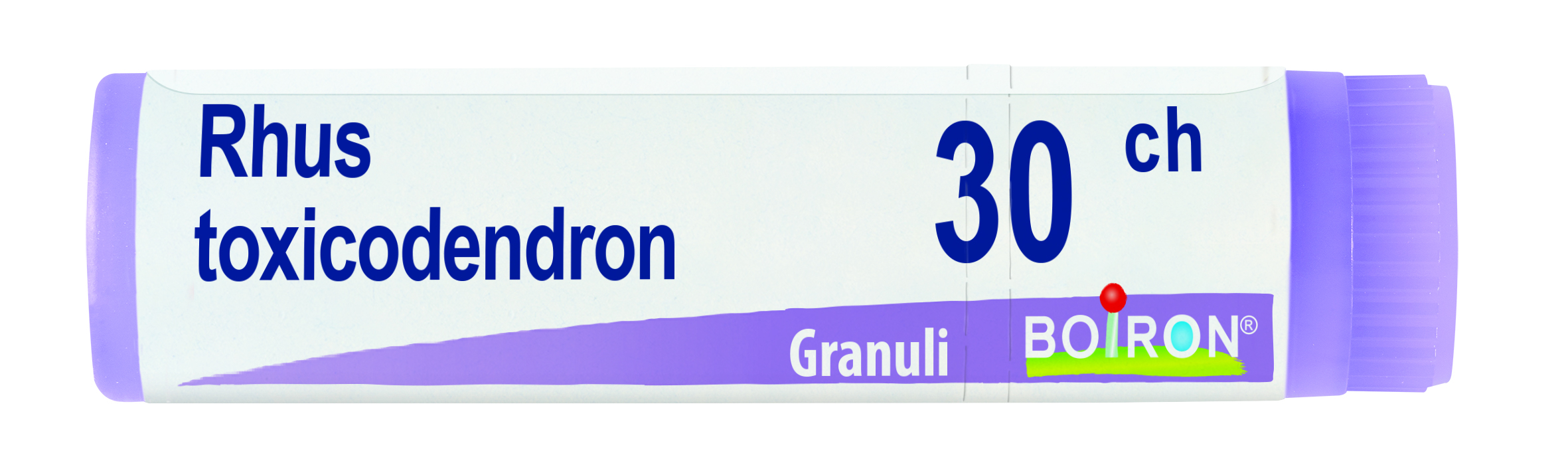 RHUS TOXICODENDRON*30CH GR 1G