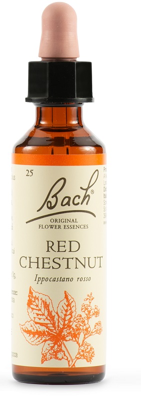 BACH 25 RedChestnut 20ml LKR