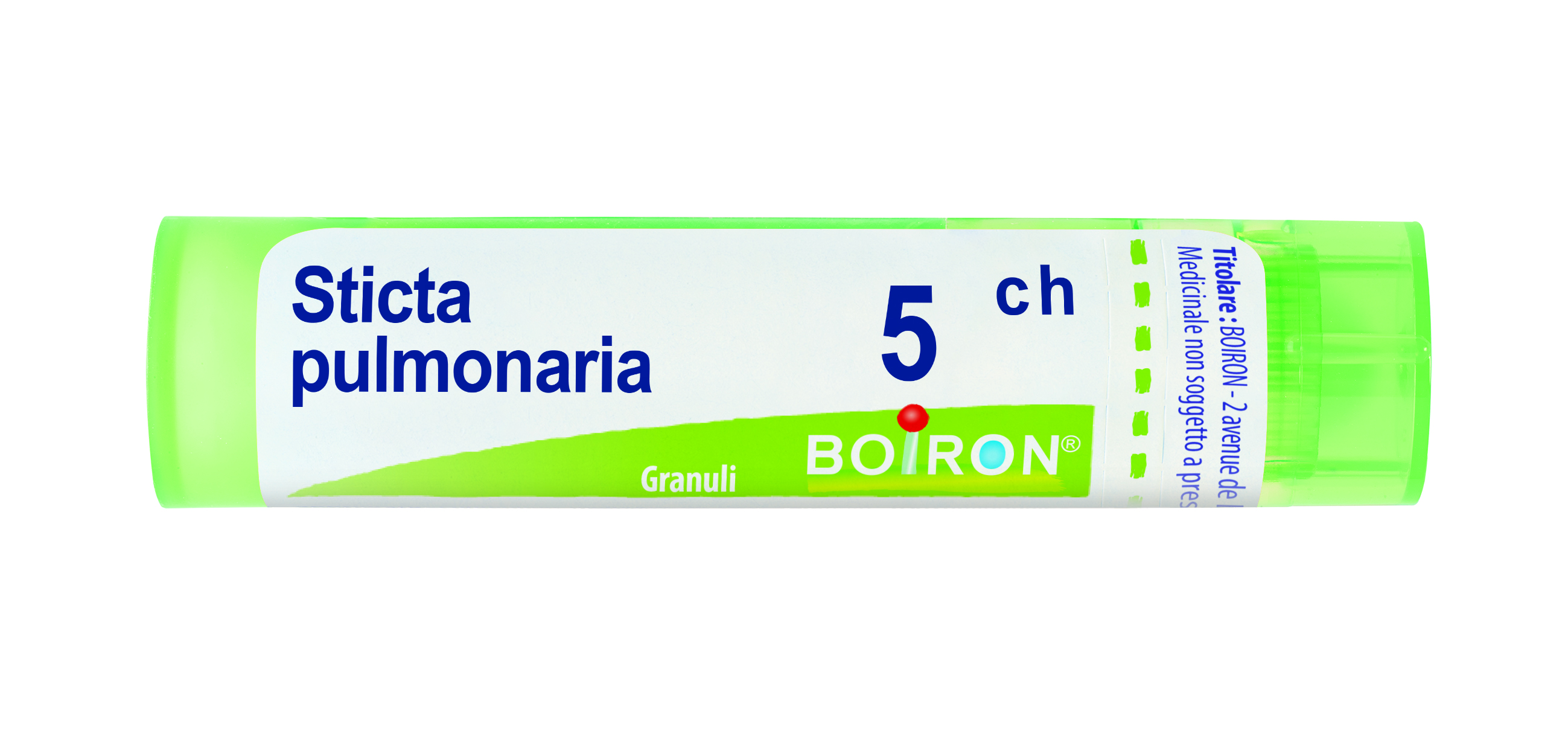 BO.STICTA PULMONARIA*5CH 80GR