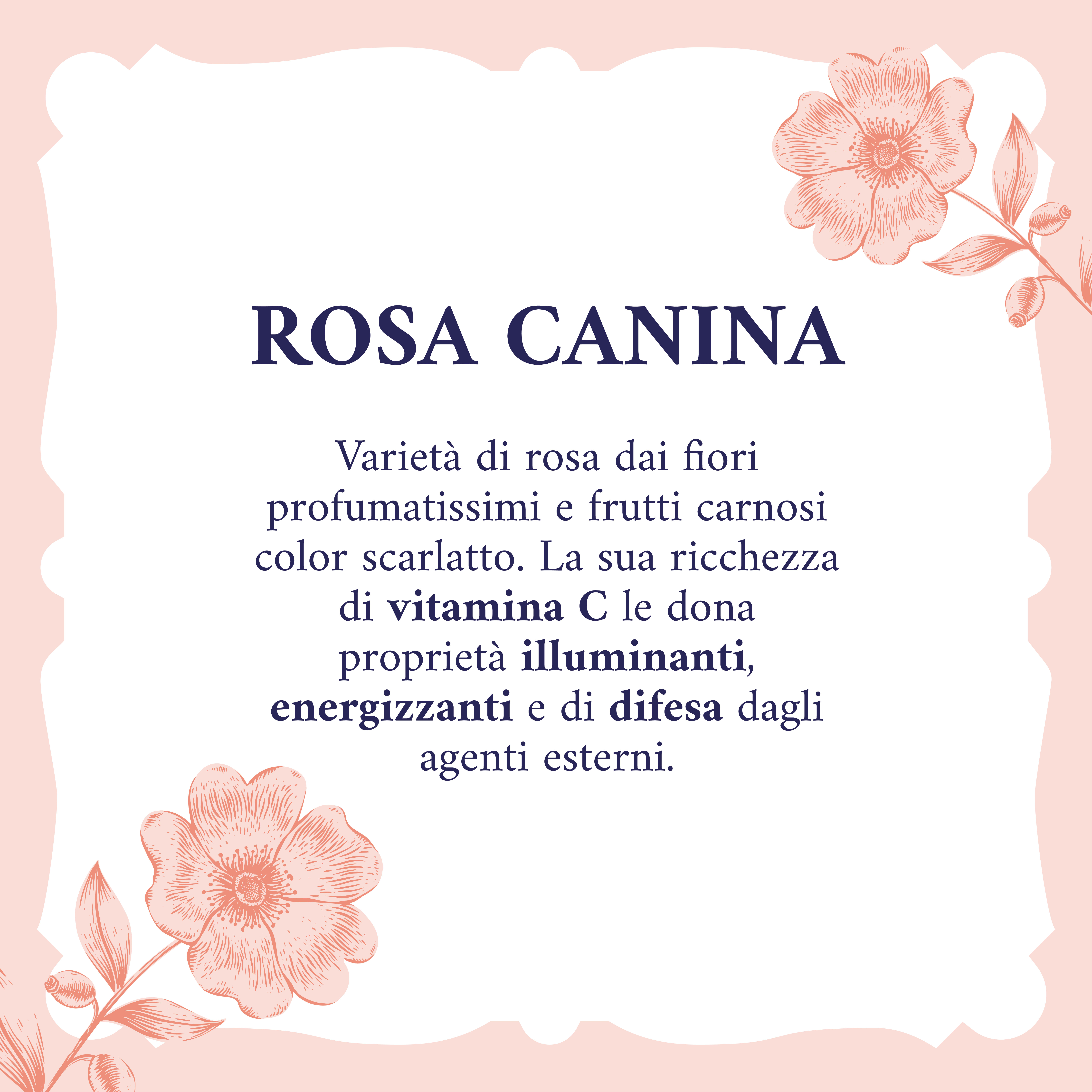 Acqua Alle Rose - Tonico Infuso Con Siero Illuminante 150 ml