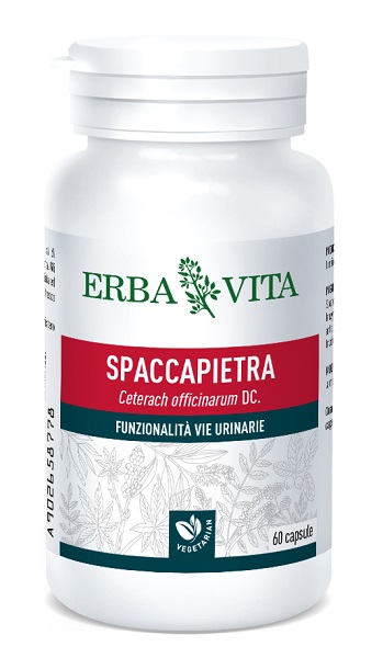 SPACCAPIETRA 60CPS 300MG