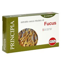 FUCUS E.S. 60 CPR 112MG KOS