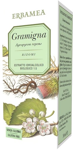 GRAMIGNA 50 ML