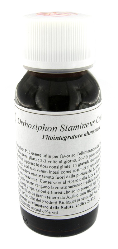 LVS 65S ORTHOSIPHON STAMI COMP