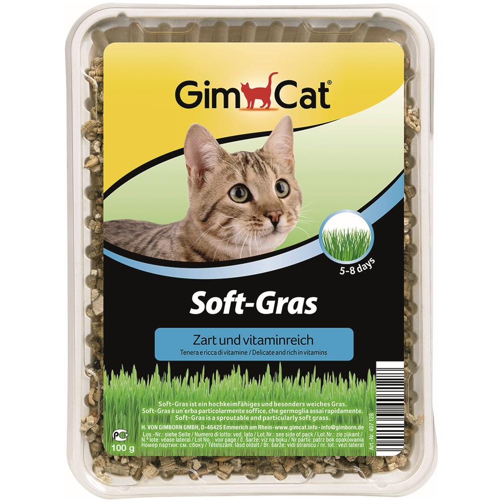 GIMBORN GIMCAT GATTO SOFT GRAS ERBA GATTA 100GR