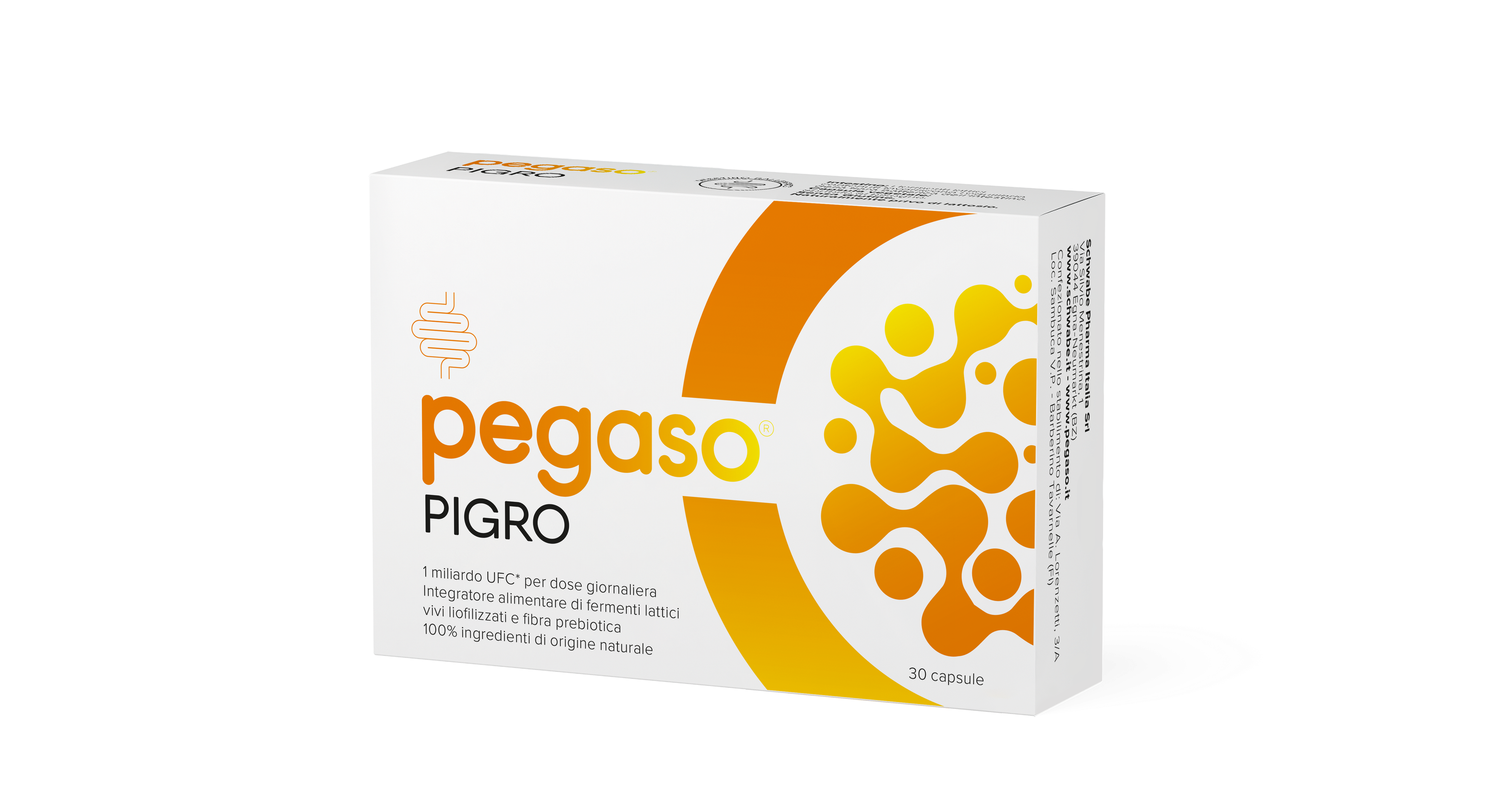Schwabe Pharma - Pegaso Pigro Junior 30 Capsule - Integratore Di Fermenti Lattici