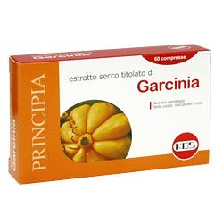 GARCINIA ESTR SEC 60CPR 25,2G