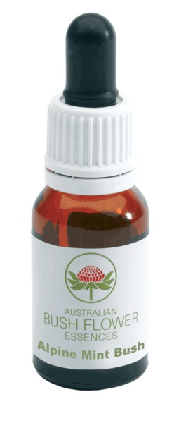 Australian Alpine Mint Bush 15ml