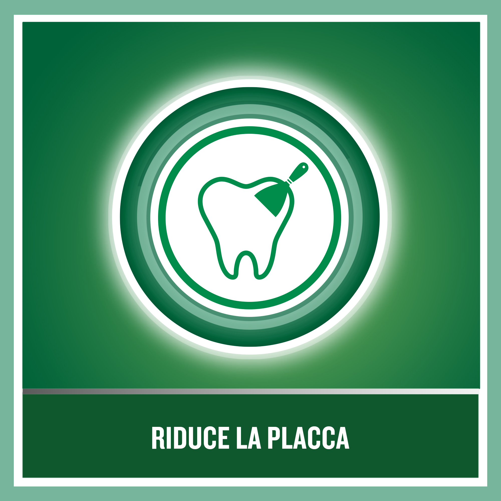 LISTERINE DENTI E GENGIVE GUSTO DELICATO 95ML