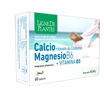 CALCIO MAGNESIO B6+VITD3 60CPS