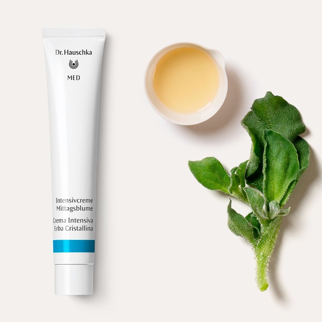 Dr. Hauschka - Crema Intensiva Erba Cristallina 50 ml