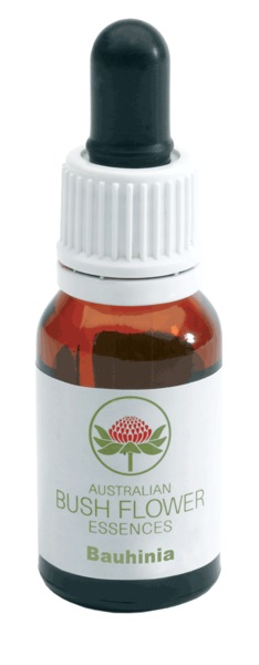 Australian Bauhinia gocce 15ml