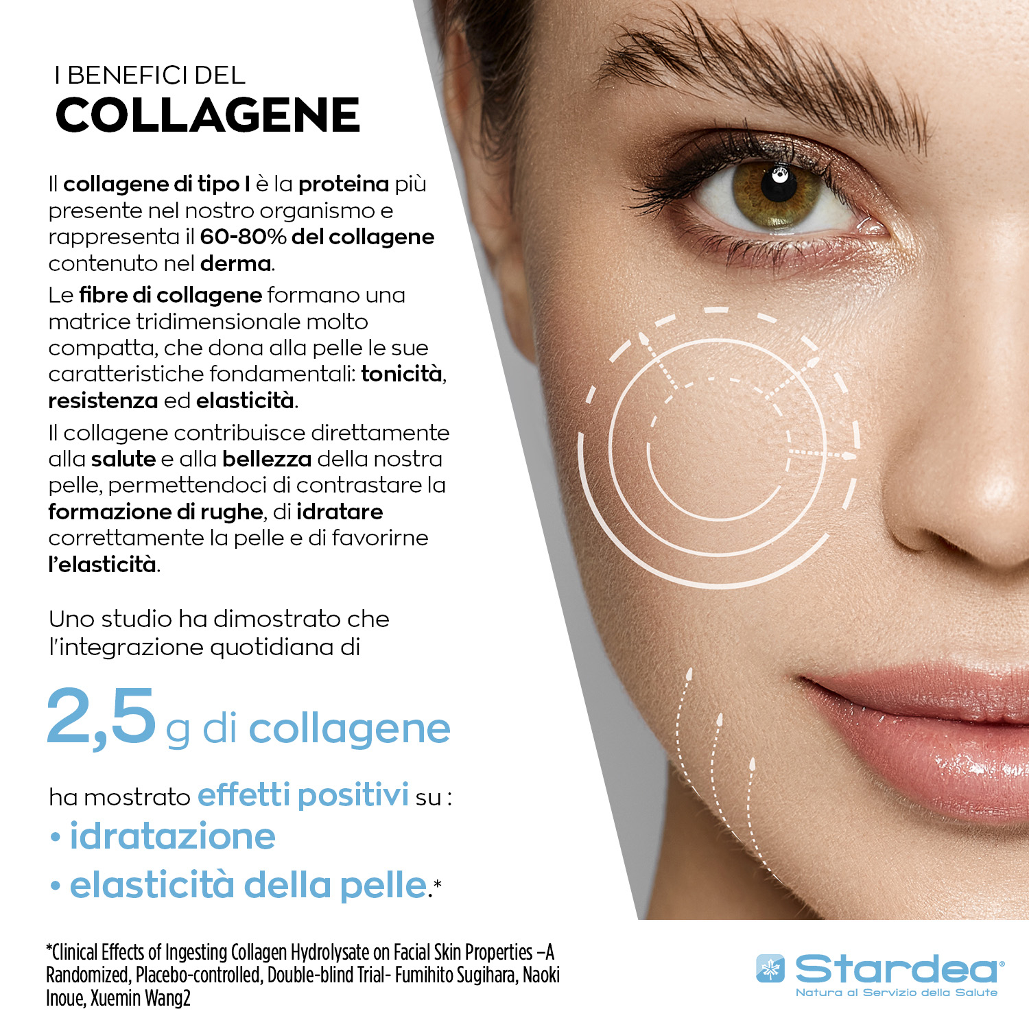 INTEGRATORE ALIMENTARE - 60 compresse a base di COLLAGENE MARINO DI TIPO I e Zinco per la BELLEZZA DELLA PELLE, ELASTICITÀ