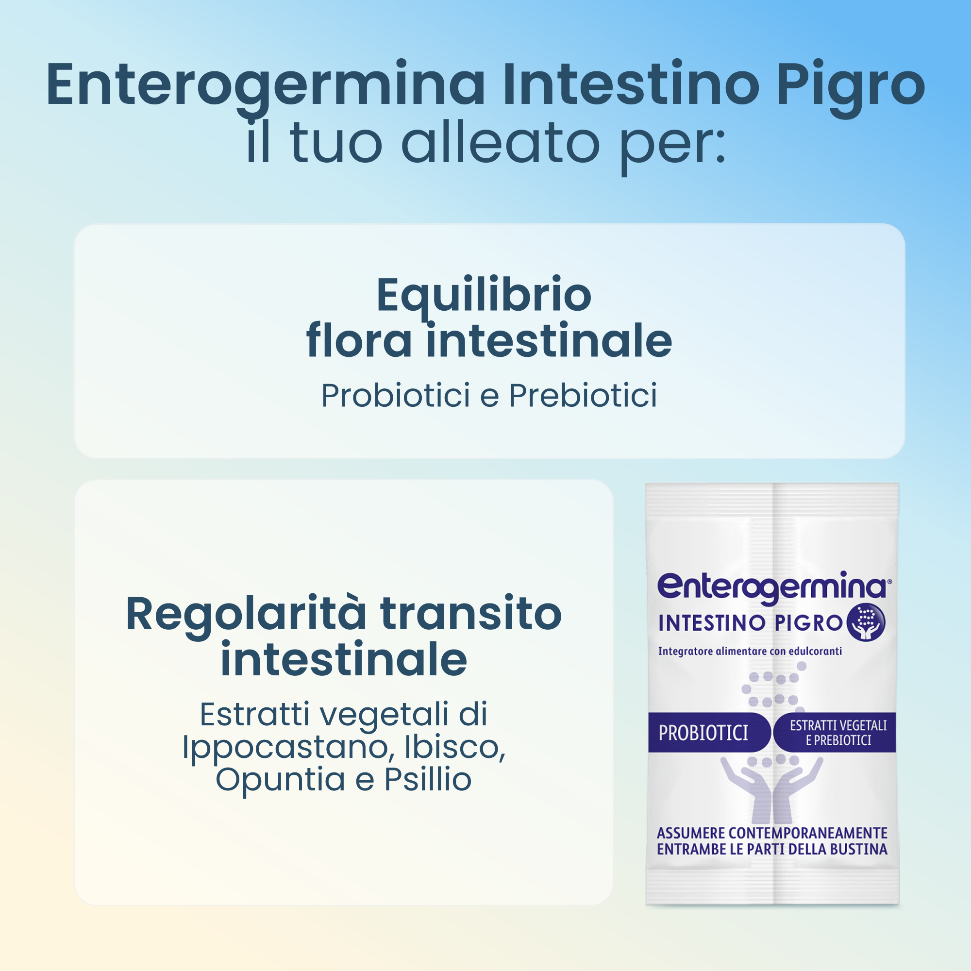 Enterogermina Intestino Pigro 20 Bustine Gusto Frutti di Bosco - Integratore Con Fermenti Lattici, Probiotici E Prebiotici Per La Regolarità Intestinale