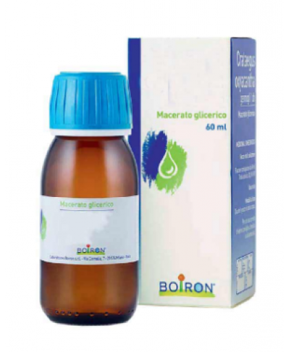 Boiron Abies Pectinata Macerato Glicerico 60 ml