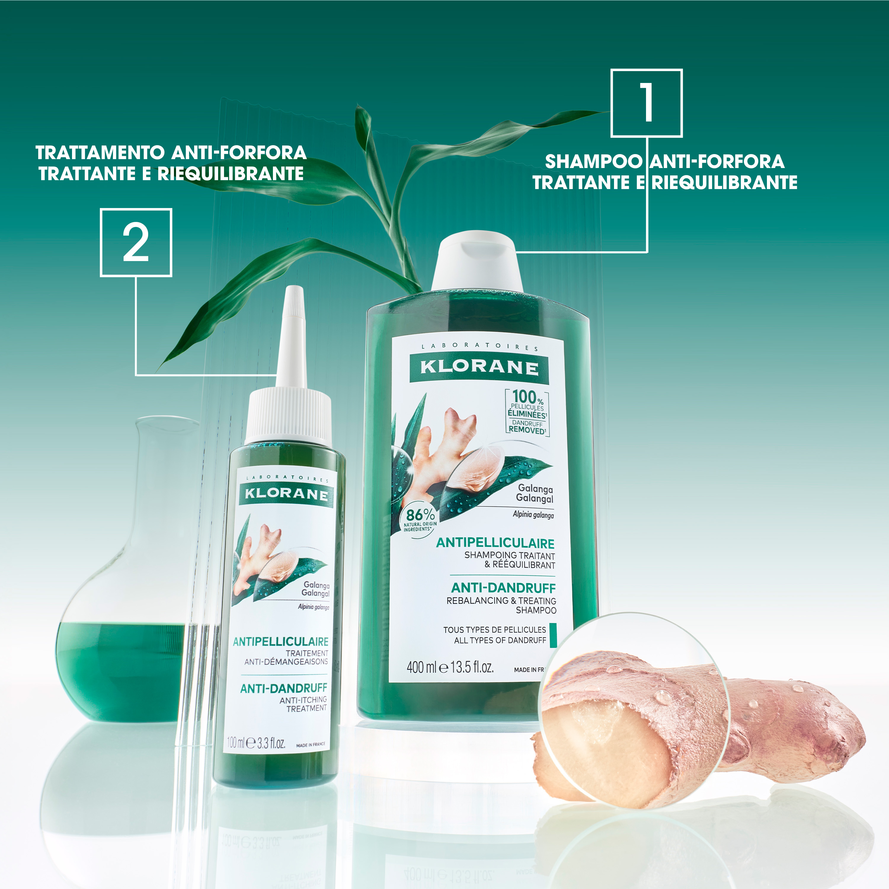 Klorane Anti-Forfora Shampoo trattante e riequilibrante alla Galanga, forfora secca e grassa, 200 ml