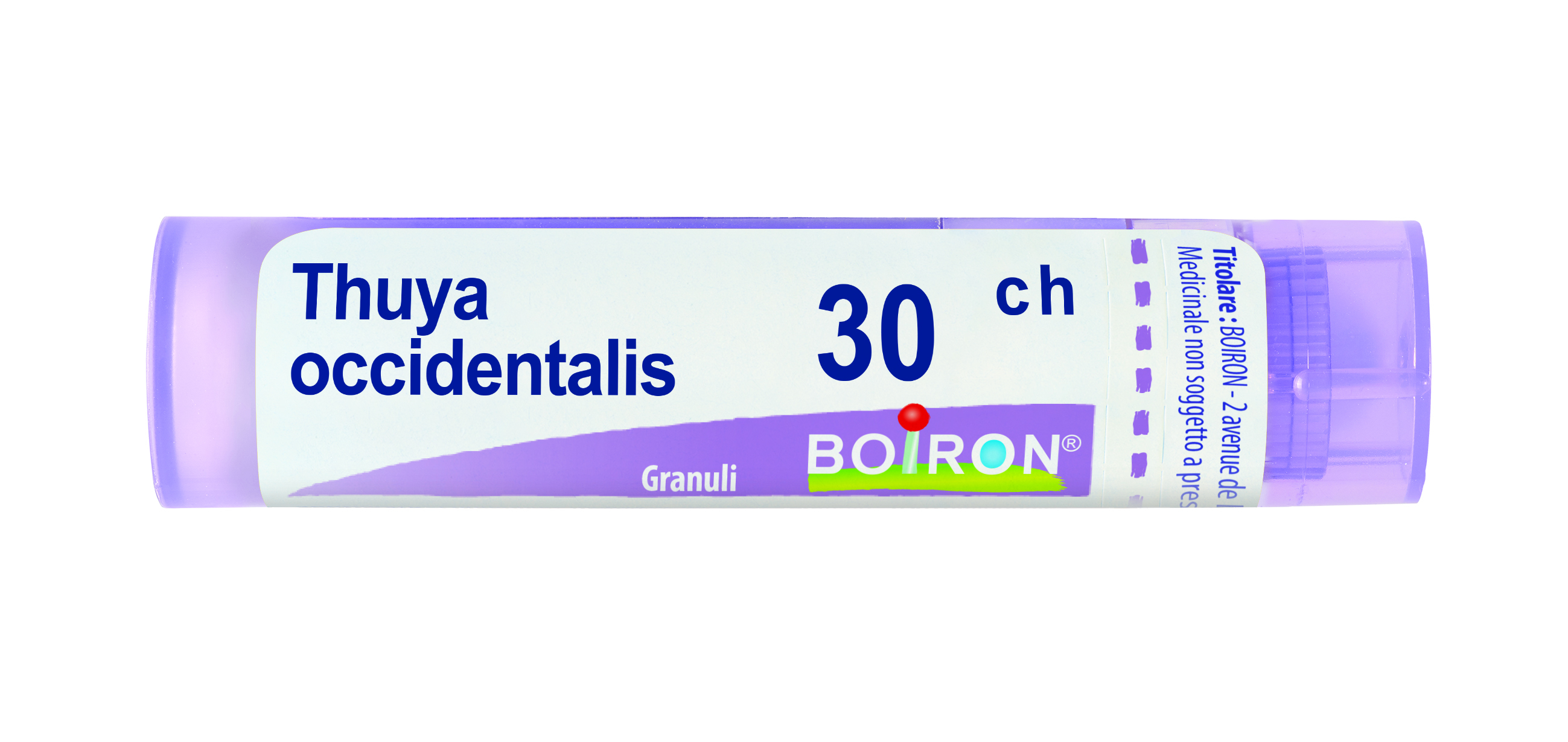 Boiron Thuya Occidentalis 30 CH Granuli Tubo