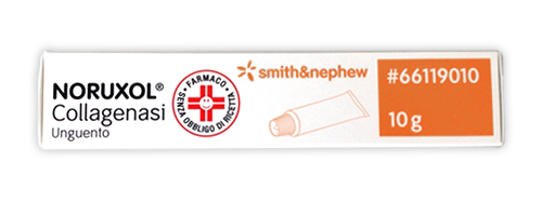 Noruxol Unguento Collagenasi N 10g