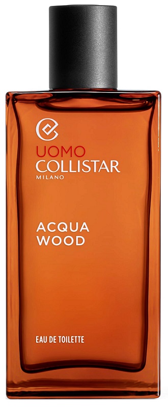 ACQUA WOOD UOMO EDT 100ML