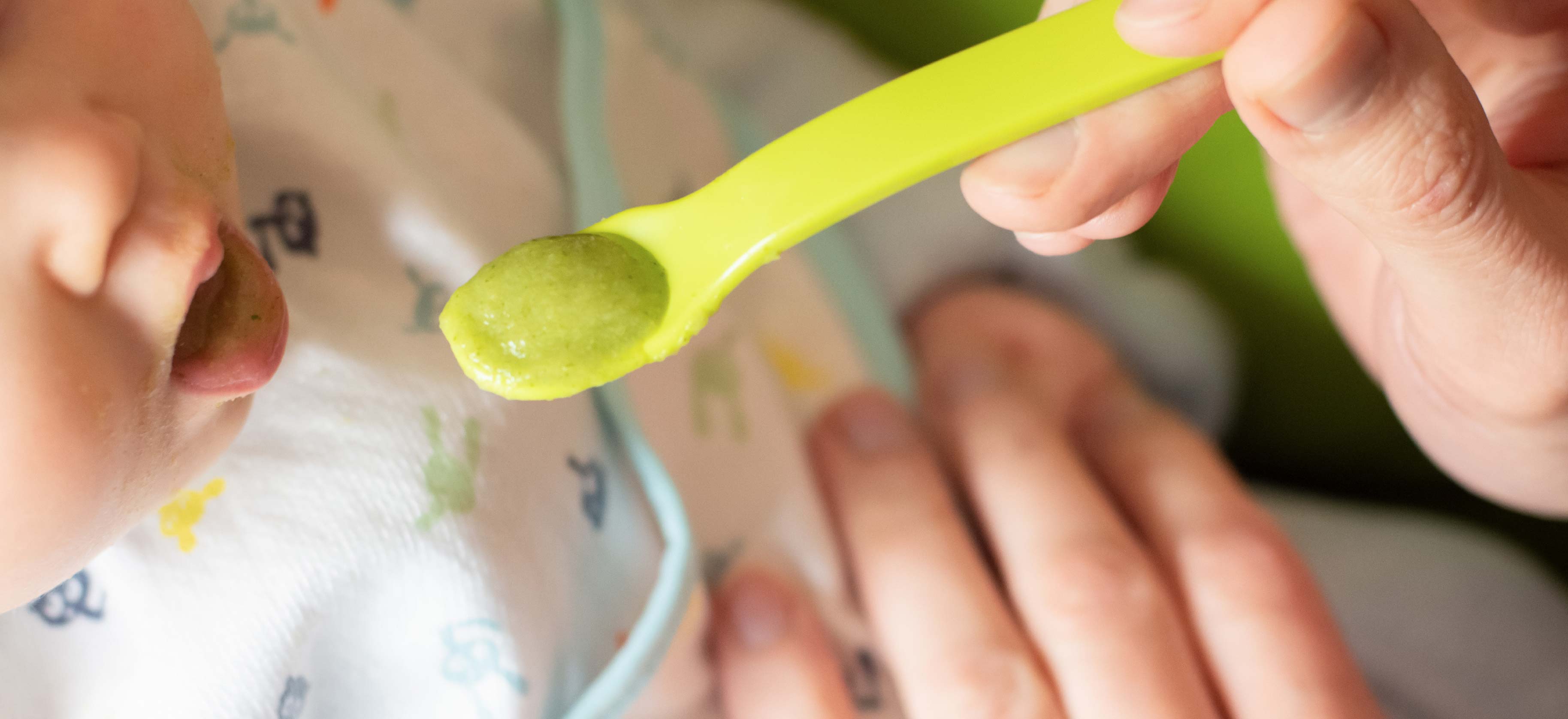 Svezzamento come iniziare e quali alimenti introdurre prima